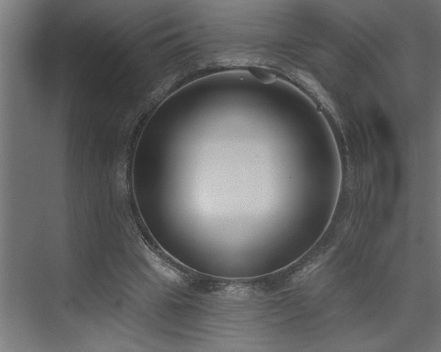 X0000074260441200608251230