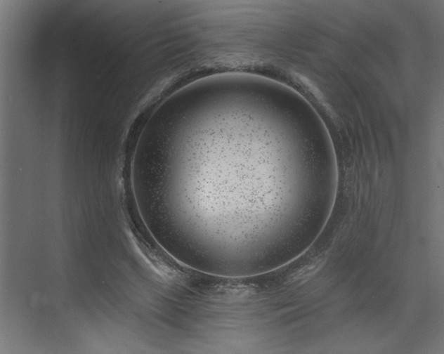 X0000074260443200608251230