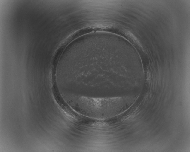 X0000074260444200608251230