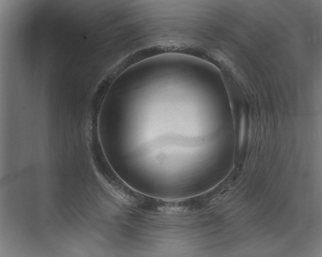 X0000074260448200608251230