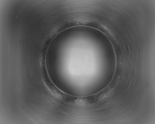 X0000074260451200608251230