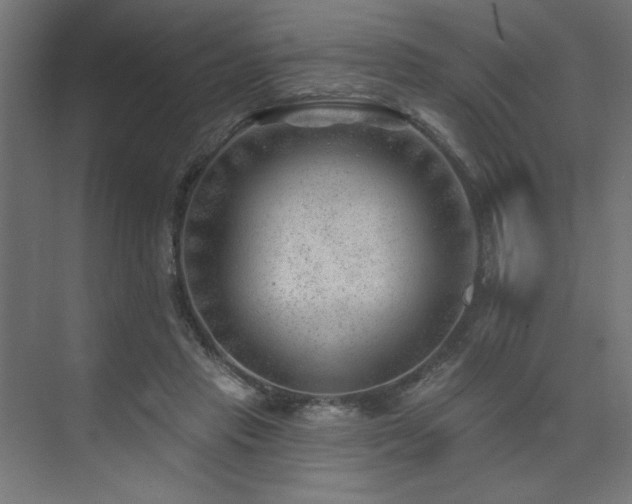 X0000074260453200608251230