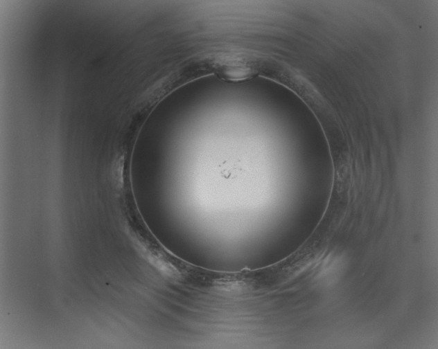 X0000074260454200608251230