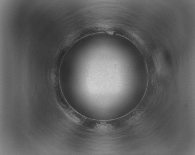 X0000074260455200608251230