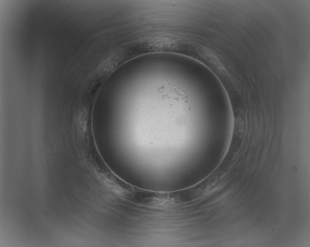 X0000074260458200608251230