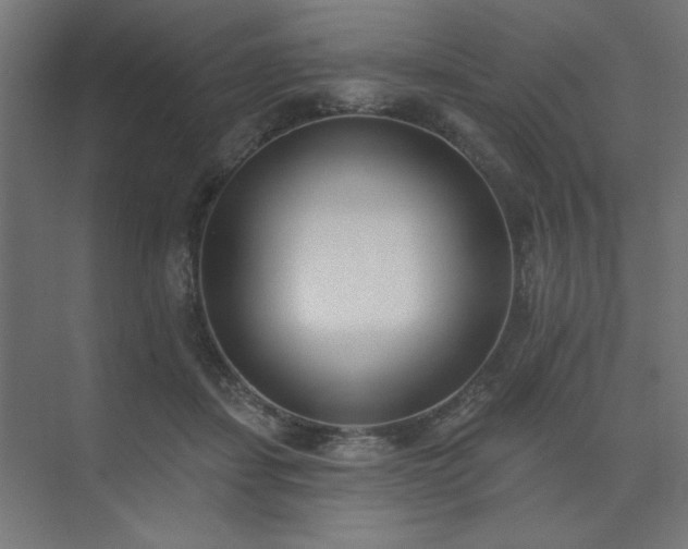 X0000074260459200608251230