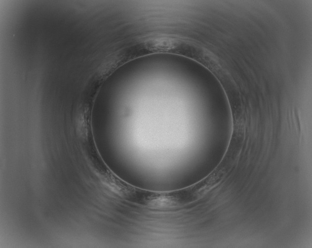 X0000074260460200608251230