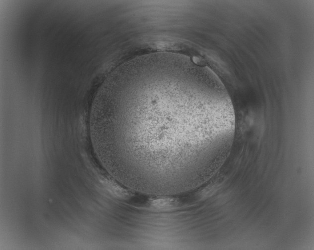 X0000074260461200608251230