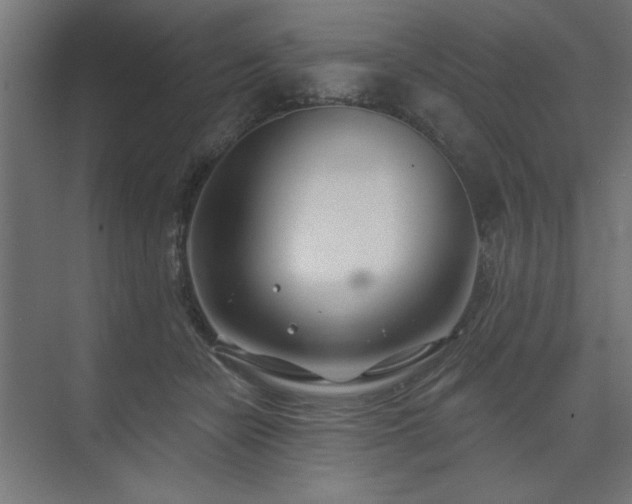 X0000074260462200608251230