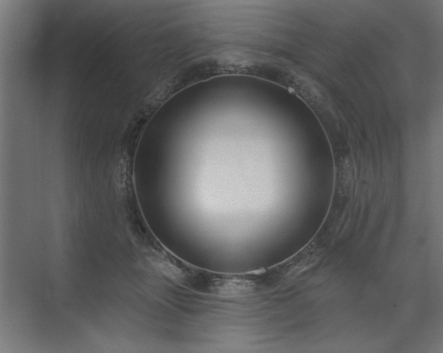 X0000074260463200608251230