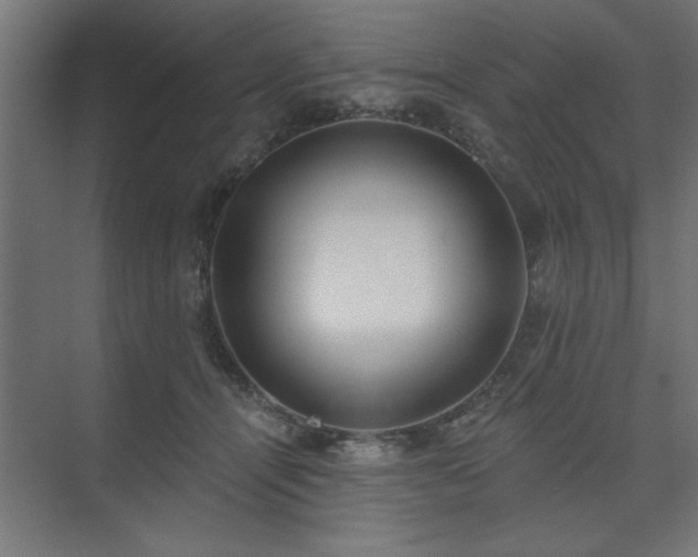 X0000074260464200608251231