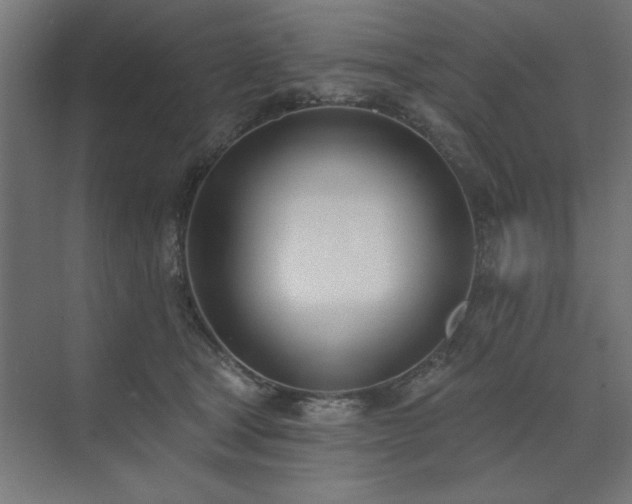 X0000074260465200608251231