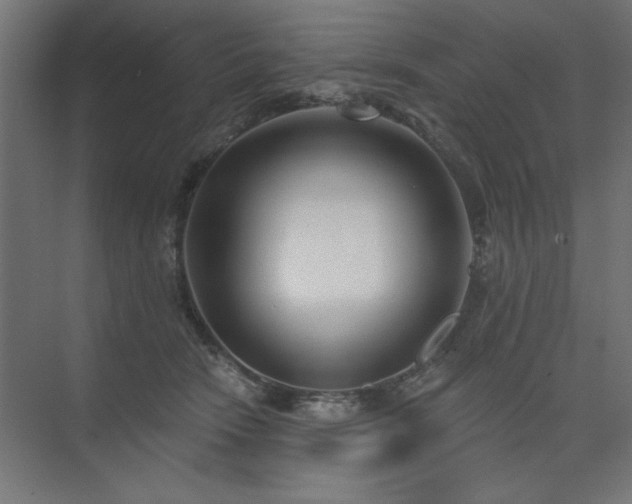 X0000074260466200608251231