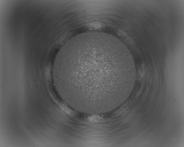 X0000074260468200608251231