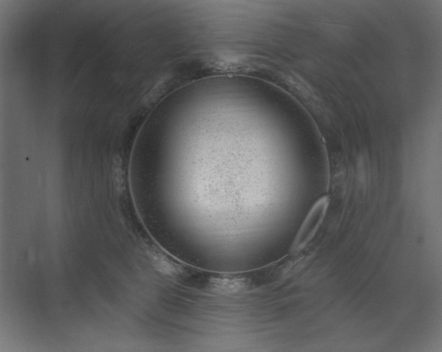 X0000074260469200608251231