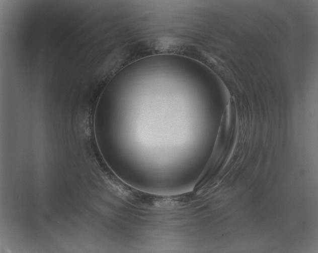 X0000074260470200608251231