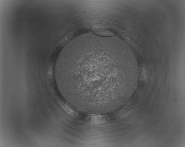 X0000074260472200608251231