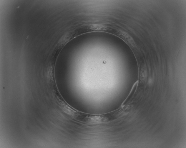 X0000074260473200608251231