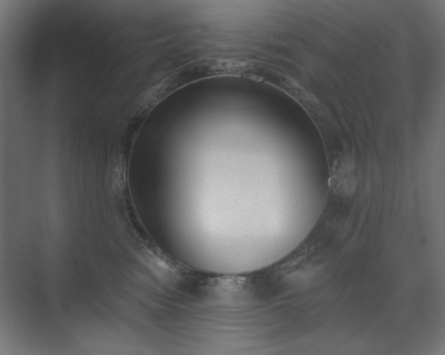 X0000074260474200608251231