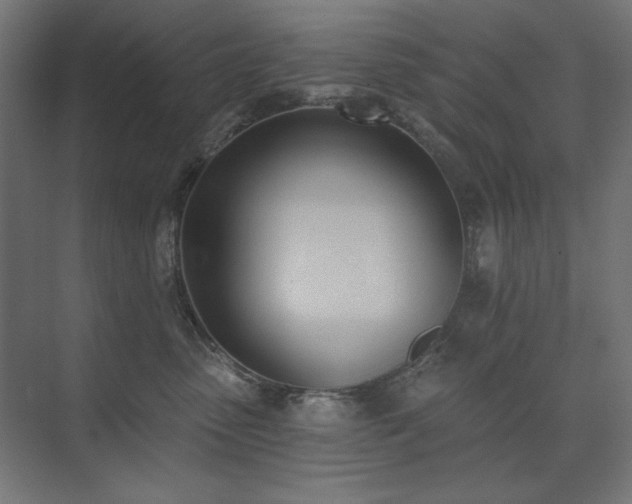 X0000074260475200608251231