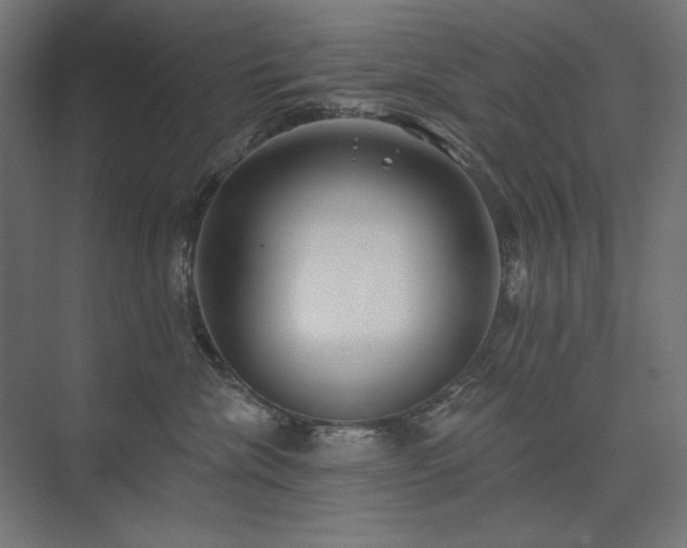 X0000074260476200608251231