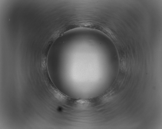 X0000074260477200608251231