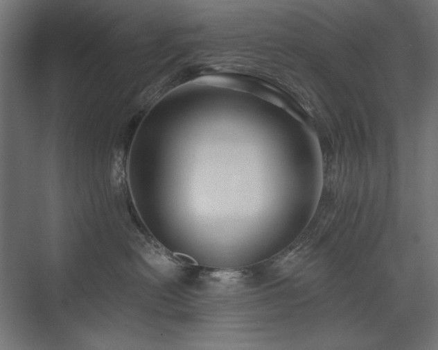 X0000074260478200608251231