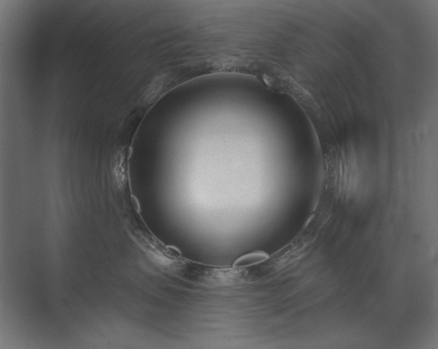 X0000074260479200608251231