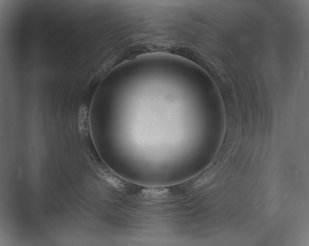 X0000074260480200608251231