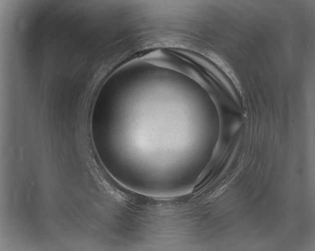 X0000074260481200608251230