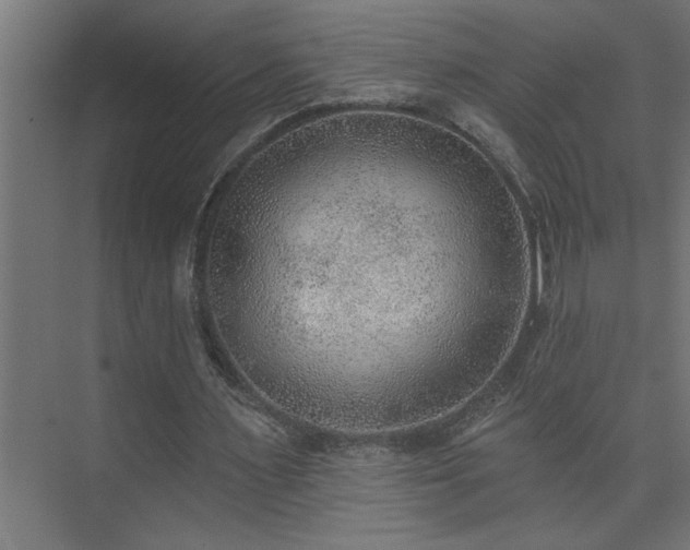 X0000074260483200608251230