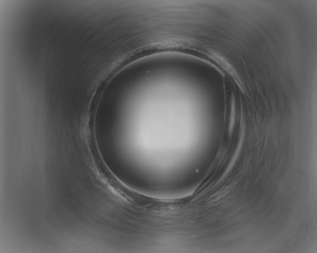 X0000074260485200608251230