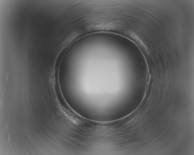 X0000074260486200608251230