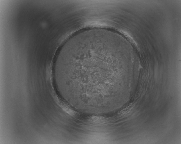 X0000074260487200608251230