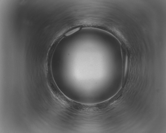 X0000074260488200608251230