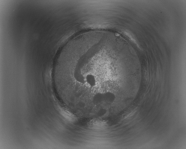 X0000074260491200608251230