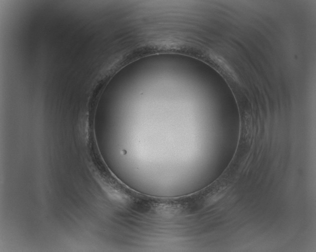 X0000074260494200608251230