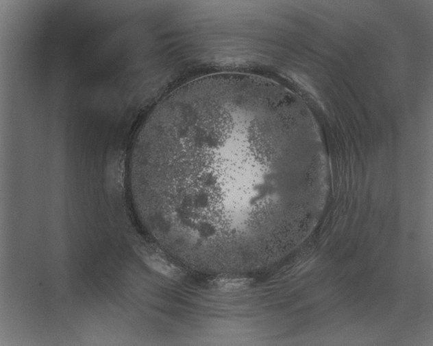 X0000074260495200608251230