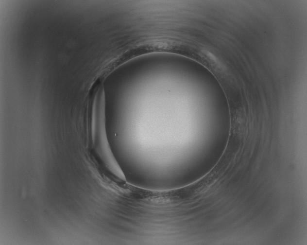 X0000074260500200608251230