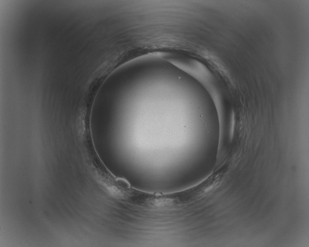 X0000074260501200608251230