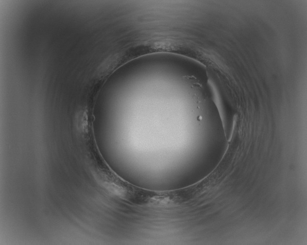 X0000074260502200608251230