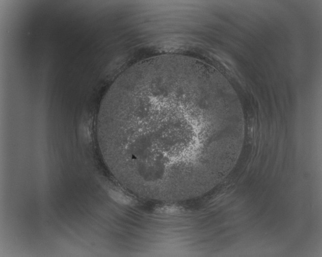 X0000074260503200608251230