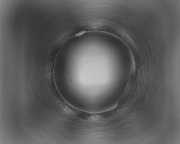 X0000074260505200608251230