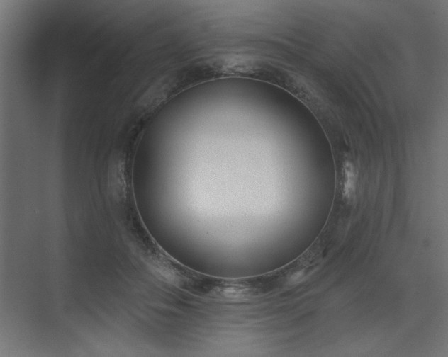 X0000074260506200608251230