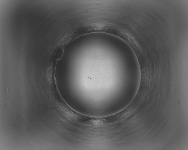 X0000074260509200608251230