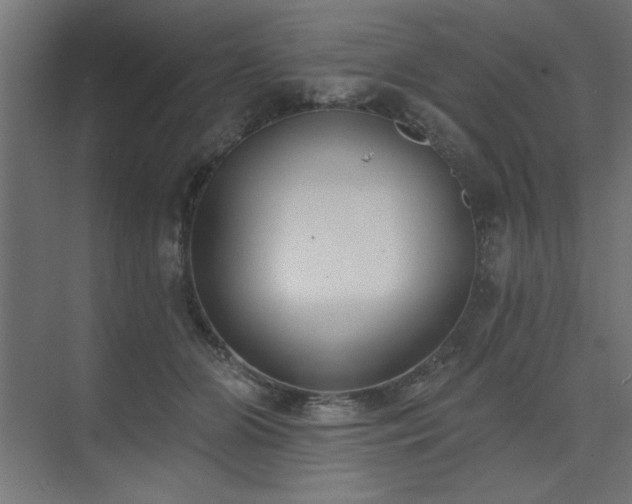 X0000074260510200608251229