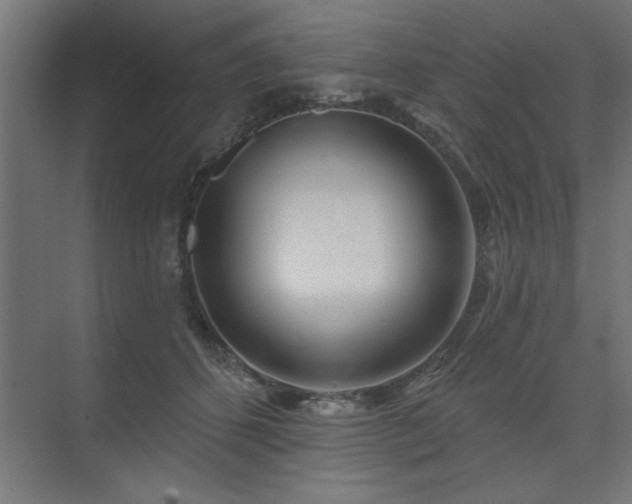 X0000074260512200608251229