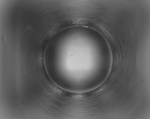 X0000074260513200608251229