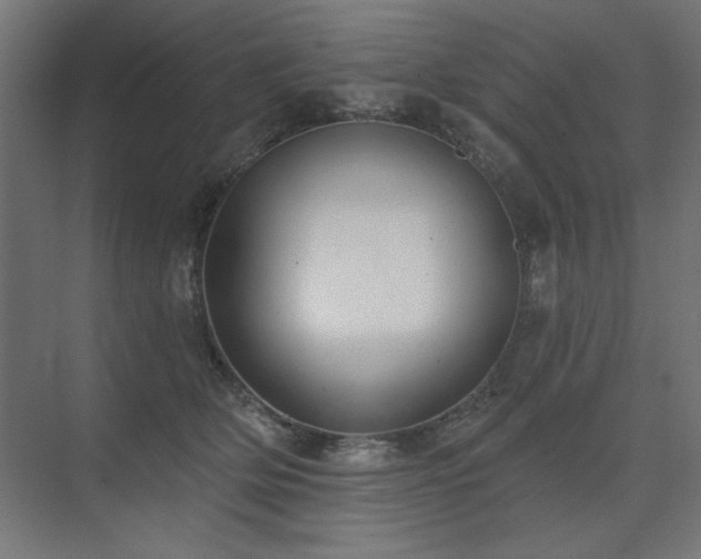 X0000074260514200608251229