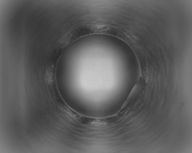 X0000074260515200608251229